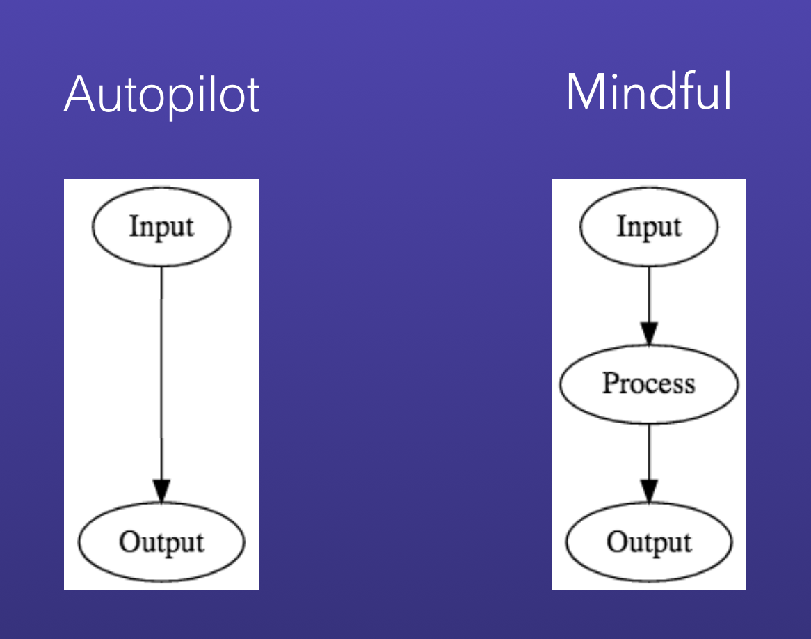 autopilot vs mindful