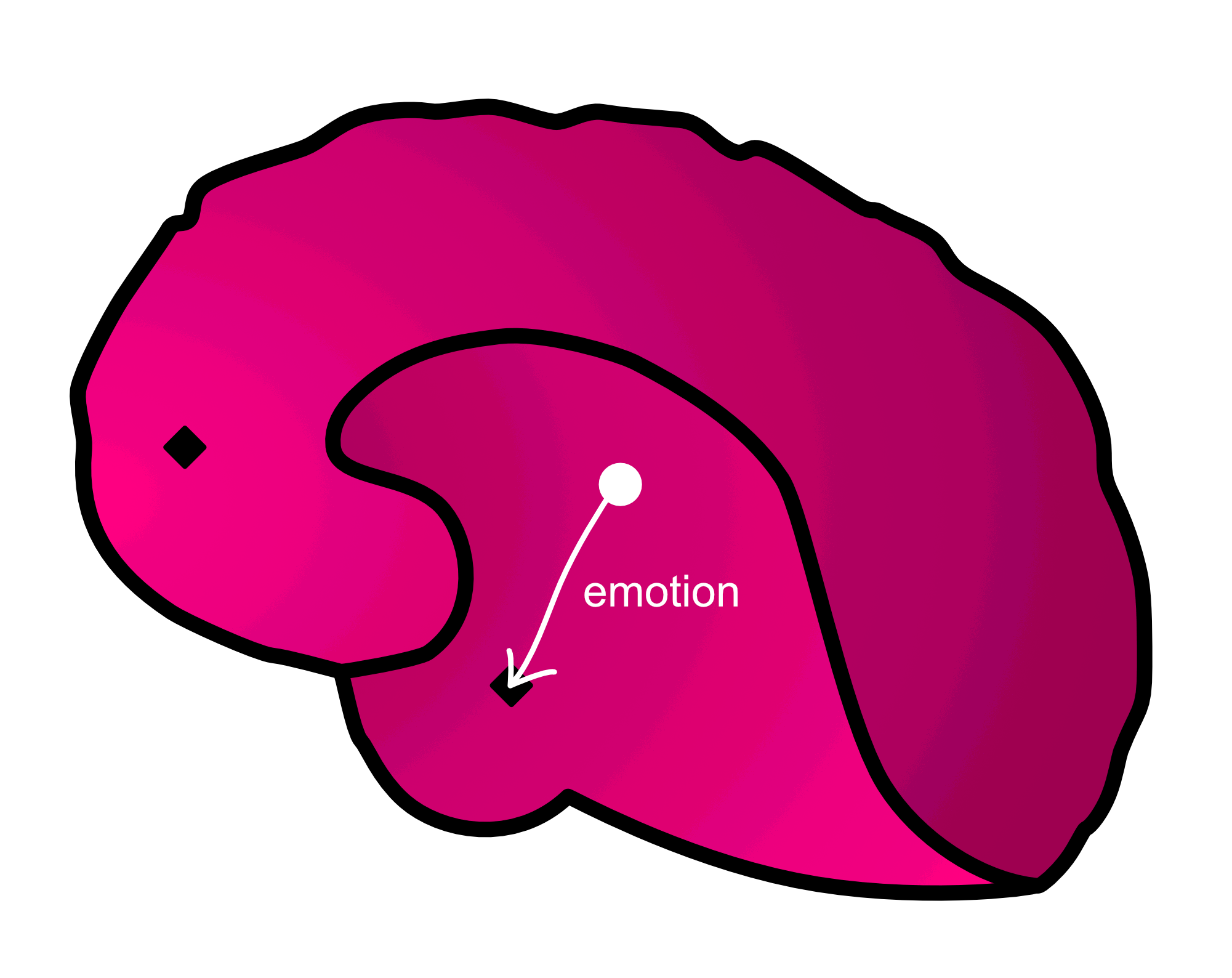 inner brain -- emotion path